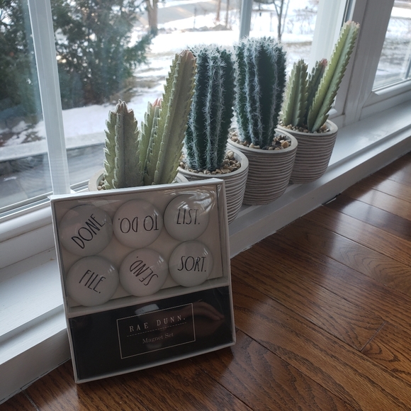 Rae Dunn Magnet Set 6 Glass-Dome Magnets - Picture 3 of 6